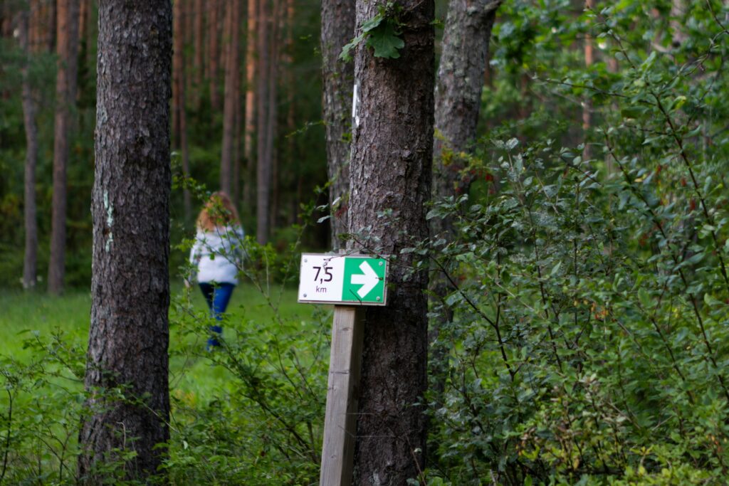 aleksander saks 9eocs76rgsq unsplash