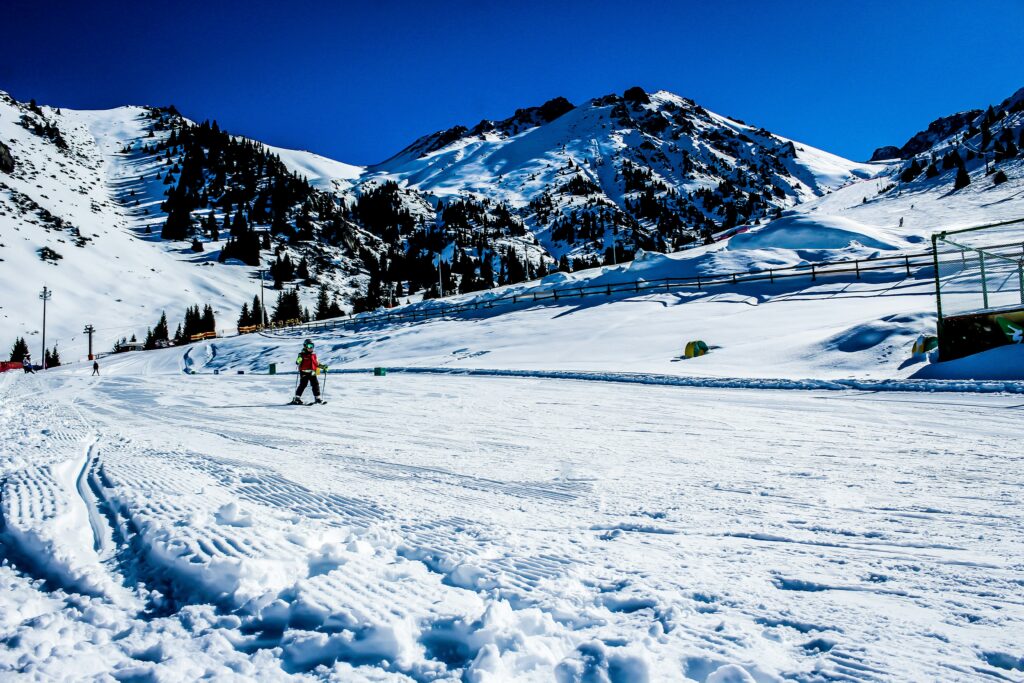 michael starkie dzai9bm7mc8 unsplash