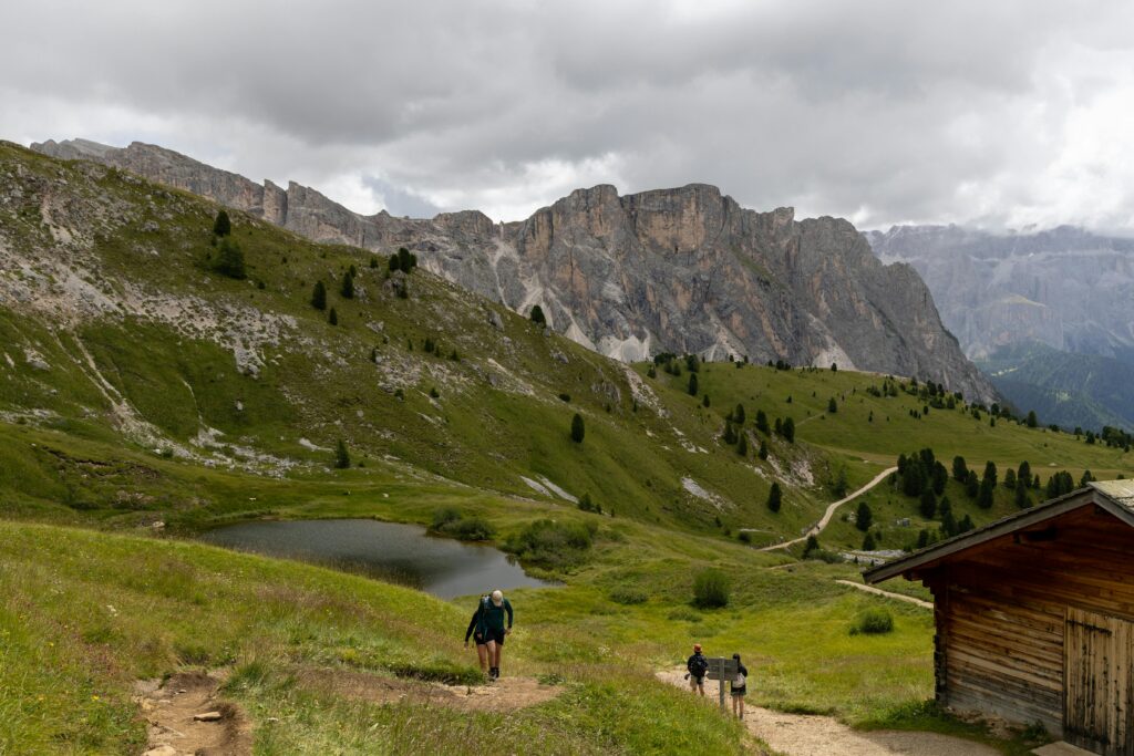 pexels igor passchier 111147847 33786368