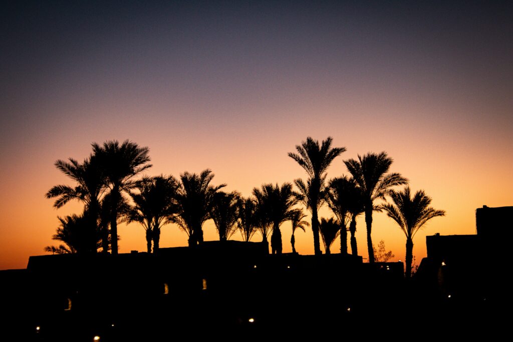 simon infanger fykjewosubq unsplash