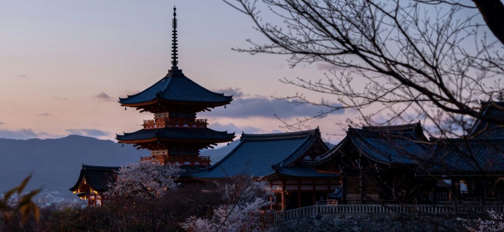 yanghong yu r6i2fntw1nu unsplash