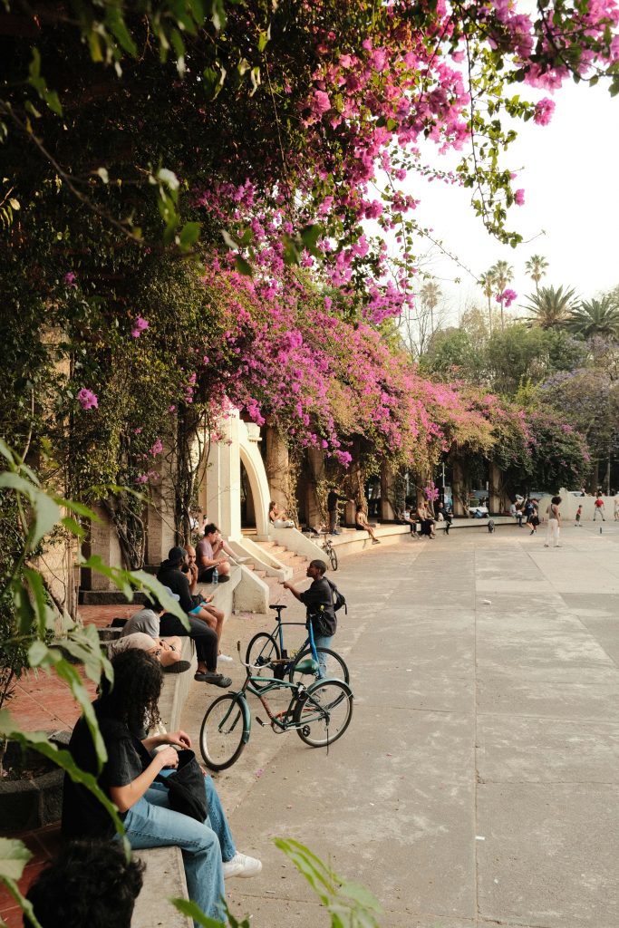 Local markets around the world showing everyday cultural life