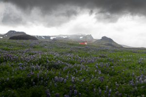 Dramatic Iceland landscape showing glaciers, volcanic terrain, and raw natural beauty